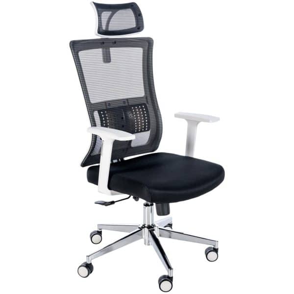 CLP Bürostuhl Wilson Ergonomic I Ergonomischer Schreibtischstuhl I Kopfstütze