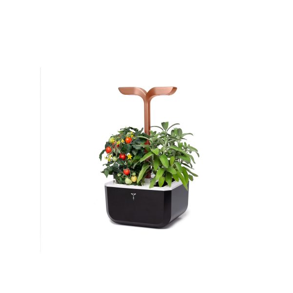 VERITABLE Exky SMART Indoor Garten kupf. + 2 Packs