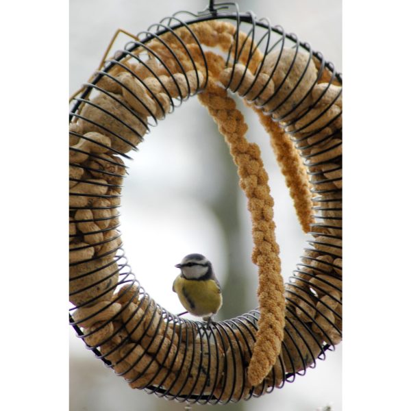 dobar Großer Vogelfutterring zum Aufhängen